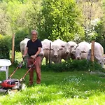 De La Pierre Bleue, Authentique Maison A La Campagne *
