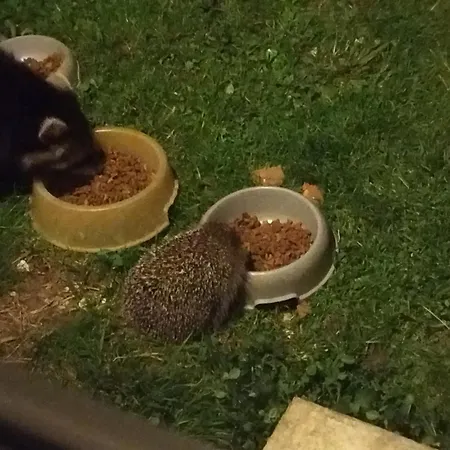 De La Pierre Bleue, Authentique Maison à La Campagne * Verdon (Marne)