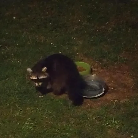 De La Pierre Bleue, Authentique Maison à La Campagne Casa vacanze Verdon (Marne)