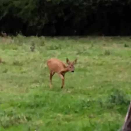 De La Pierre Bleue, Authentique Maison à La Campagne Casa vacanze Verdon (Marne)