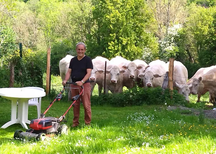 De La Pierre Bleue, Authentique Maison A La Campagne *