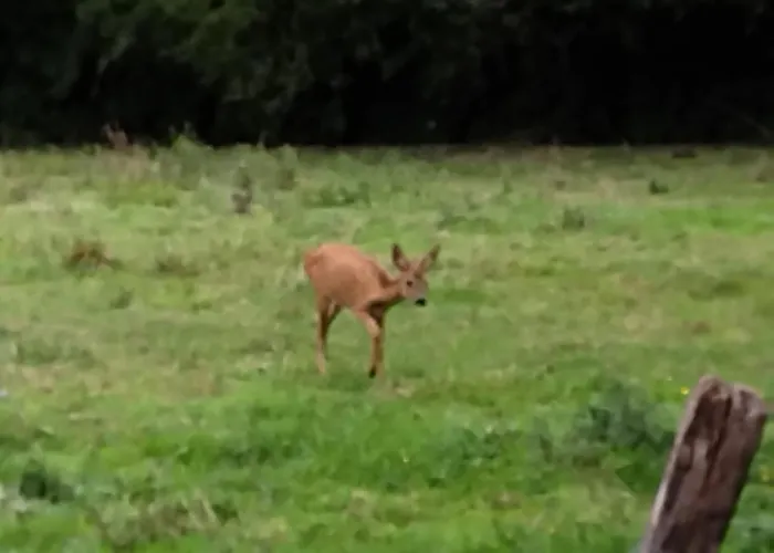 De La Pierre Bleue, Authentique Maison A La Campagne Holiday home Verdon (Marne)